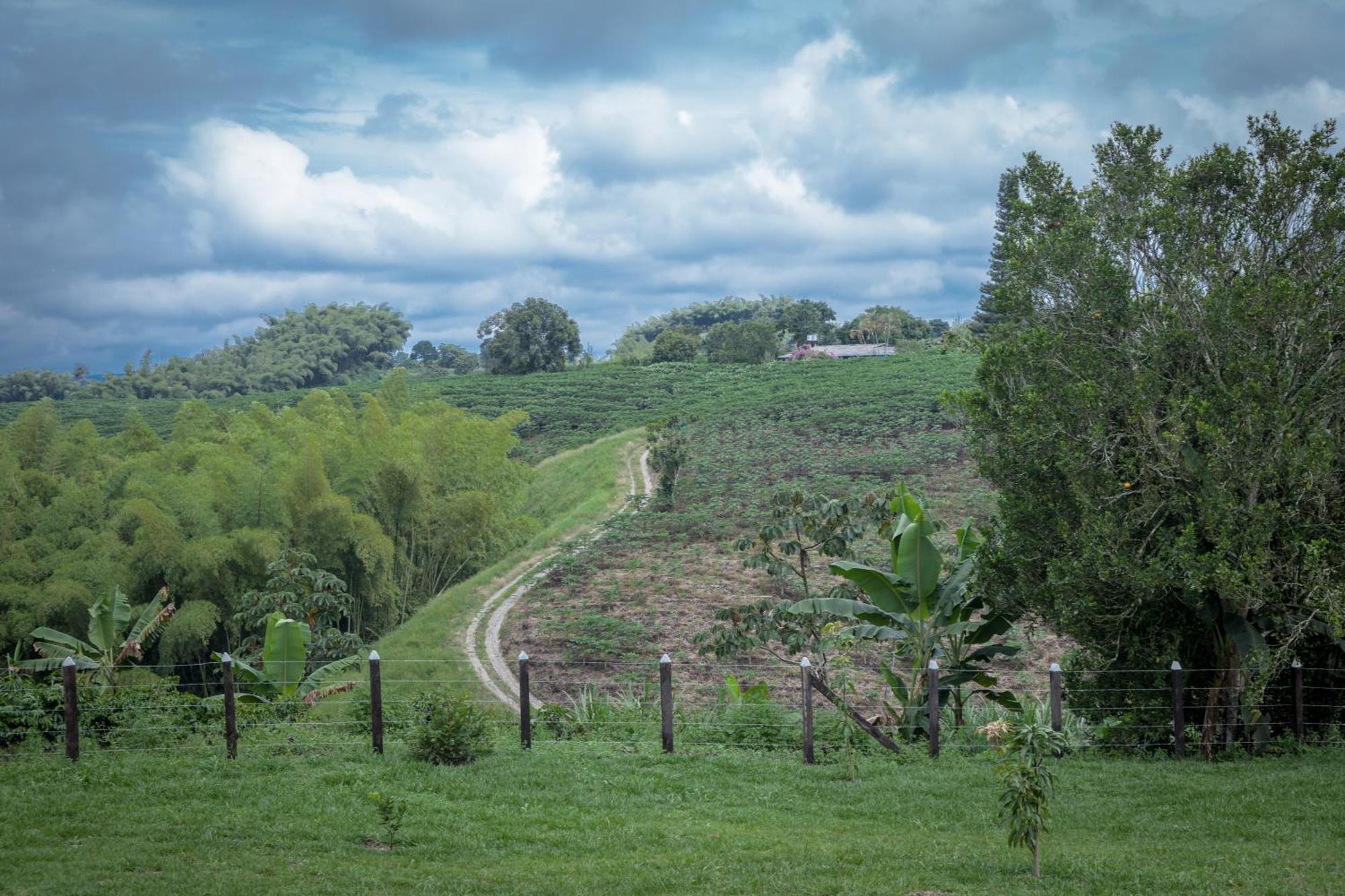 Finca Hotel Heron Quimbaya Zewnętrze zdjęcie